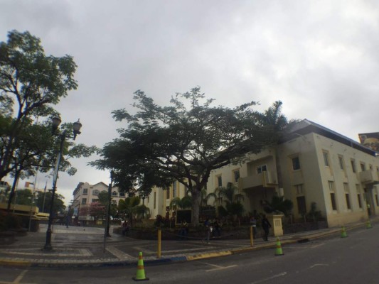 En vigencia alerta verde por ingreso de frente frío