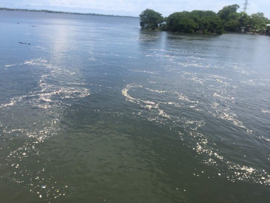 Basura de Guatemala llega a la Laguna de Alvarado de Puerto Cortés