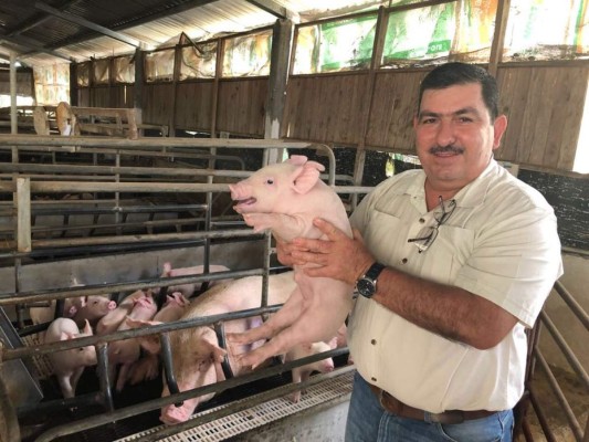 Taiwaneses visitan proyecto porcino en Comayagua