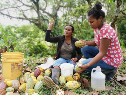 Capacitarán a mujeres misquitas en equidad económica y de género