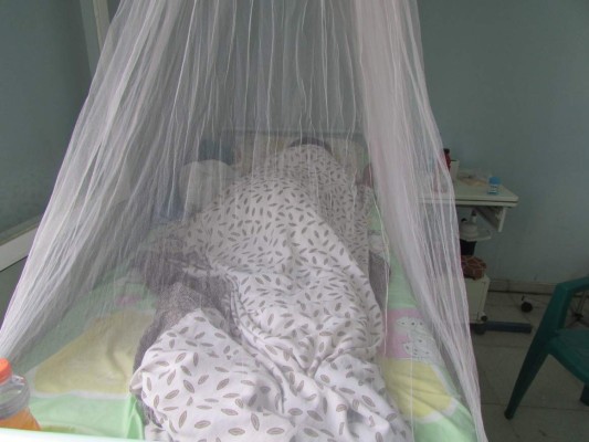 La microcefalia duplicó las cifras anuales en dos meses: Salud