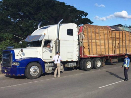 Diez detenidos, fauna y madera decomisada deja la 'Operación Gaia”