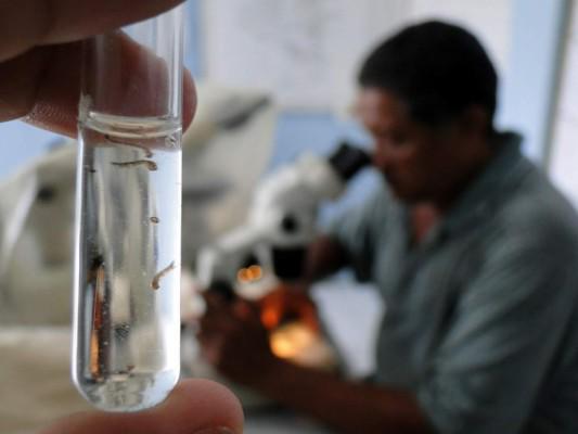 Honduras y Nicaragua firman acuerdo para luchar contra la malaria