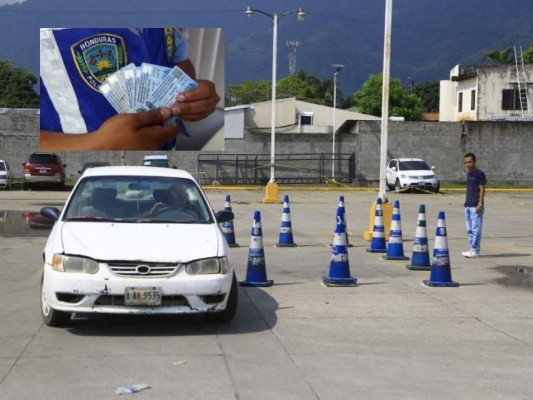 DNVT ha entregado más de 14,000 licencias de conducir en lo que va de 2021