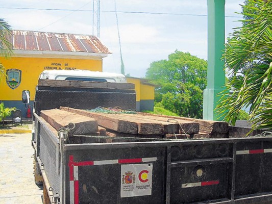 En operativo comisan madera de caoba a militares
