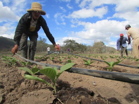 El Salvador se declara en alerta por El Niño