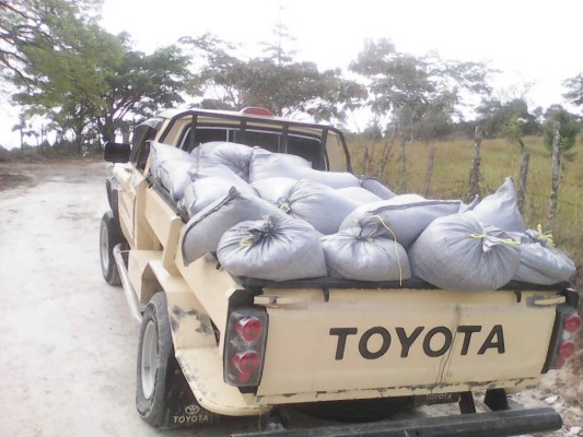 Caen cuatro guatemaltecos por supuesto contrabando de maíz en Honduras  