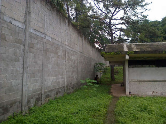 Diez menores de edad se fugan de centro de rehabilitación en San Pedro Sula