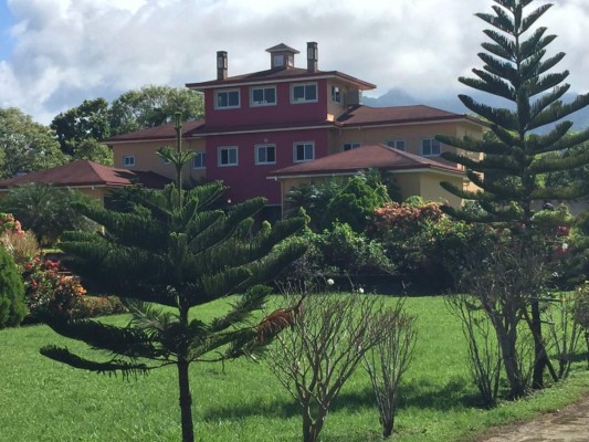 Aseguran 57 bienes a 'Don H' en Cortés y Yoro