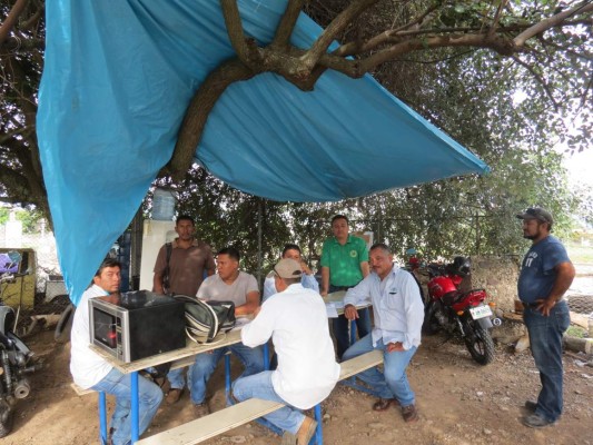 Empleados de la Enee trabajan bajo un árbol luego de ser reubicados