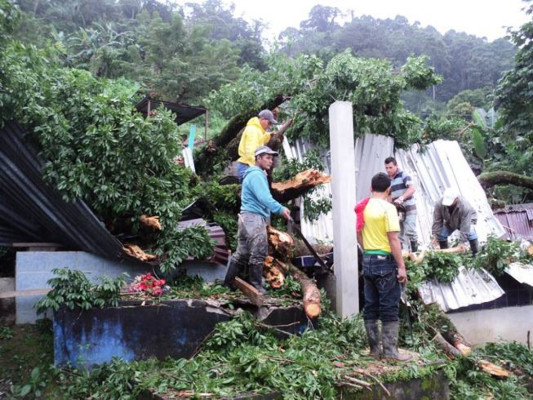Destrozos y un muerto, el saldo del temporal