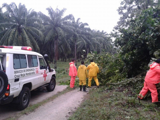 Evacúan a 266 personas en Tela por lluvias