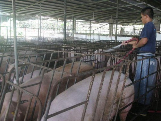 Más de 800 productores beneficiados con los fondos del Firsa en el año 2015