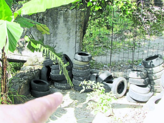 Confirman que ya van tres casos de fiebre chikungunya en Honduras