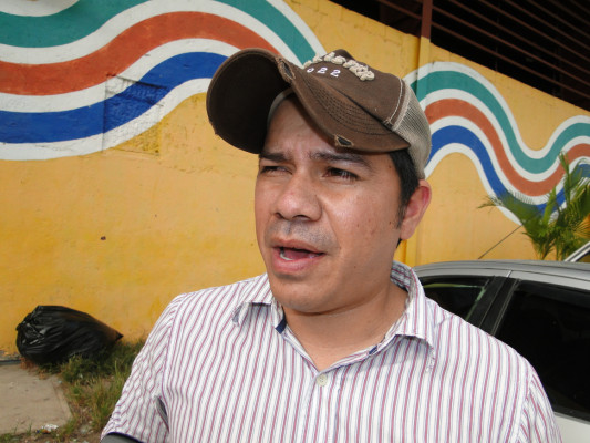 Sin control cultivan palma en reserva Mico Quemado en El Progreso