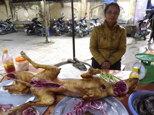 En Vietnam linchan a los ladrones de perros
