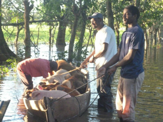 Vientos mantendrán temperaturas frescas en Honduras