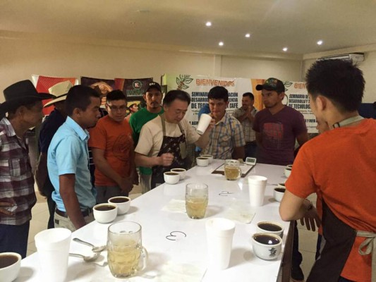 Promedio de $6.27 por libra consiguen cafés de cosecha tardía