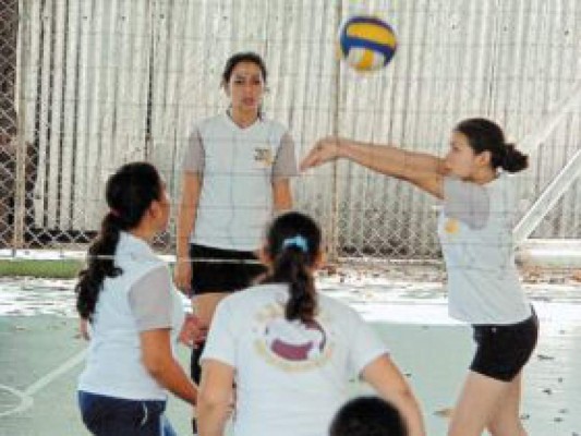 Grandes, las rinocerontes