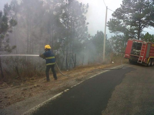 Luchan por controlar otro incendio forestal