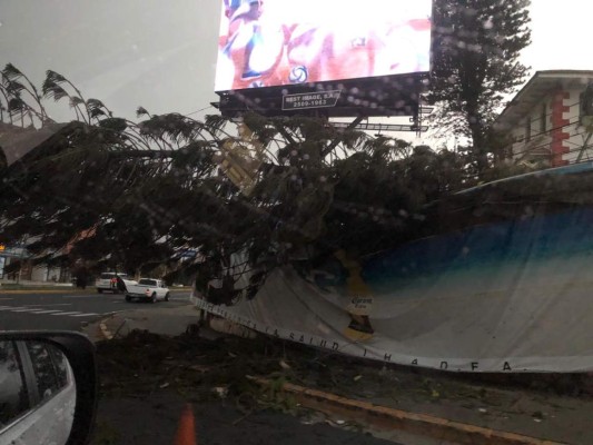 Foto: La Prensa