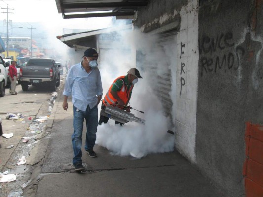 En 90% se reducen el dengue y la chikungunya en San Pedro Sula