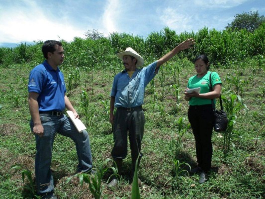 Agricultores discutirán oportunidades y retos del sector en el contexto mundial