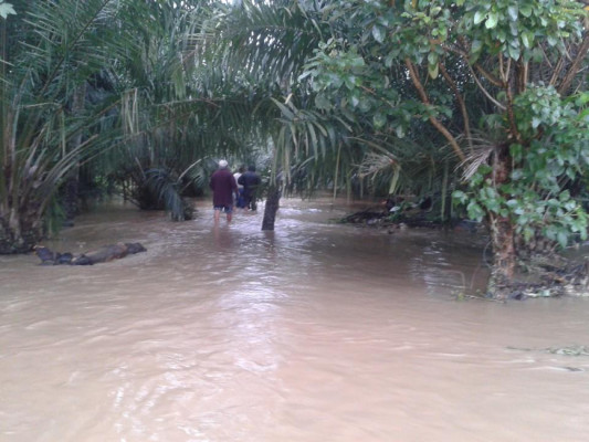 Evacúan a 266 personas en Tela por lluvias