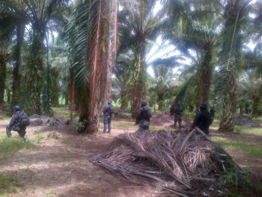 Aseguran dos bienes más a red de 'Los Cachiros”