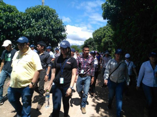 El 56% del agro en la región está en familias