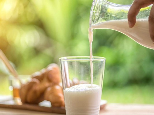 La leche cruda puede contener bacterias resistentes a los antibióticos