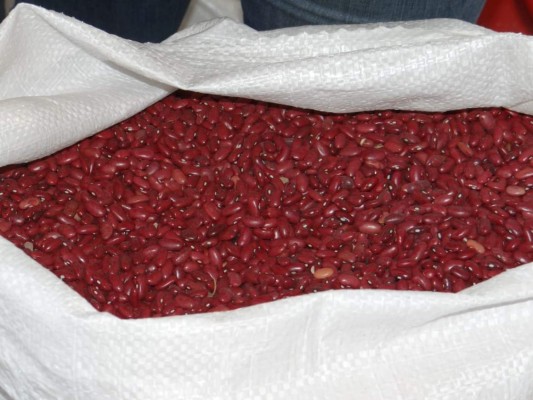 Ingresan primeros 20 mil quintales de frijol a bodegas del IHMA