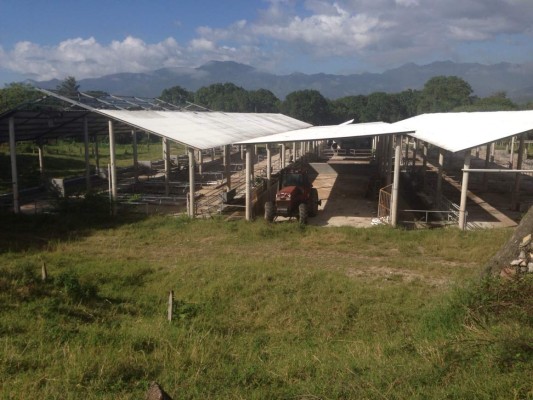 Aseguran lujosa casa vinculada a 'Don H' en Jardines del Valle