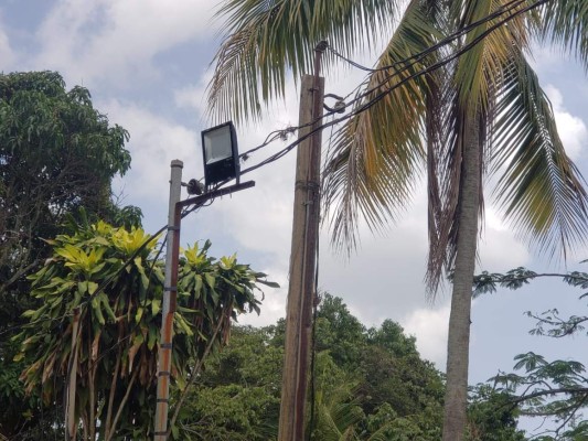Desmantelan sistema de video vigilancia de la MS-13 en San Pedro Sula