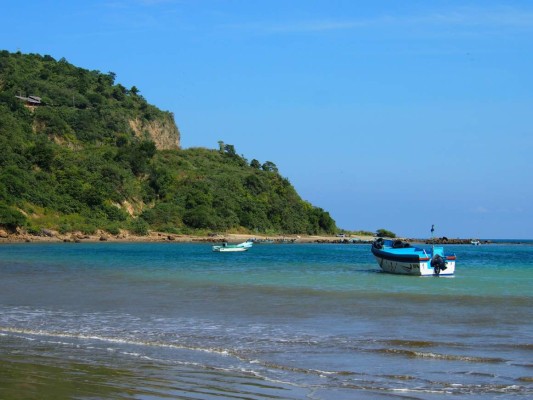 Ballenas llegan a Ecuador para seducir a turistas
