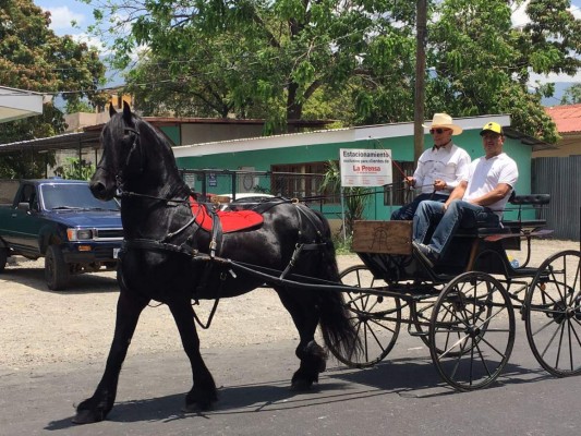 Las mejores imágenes del desfile del Agas
