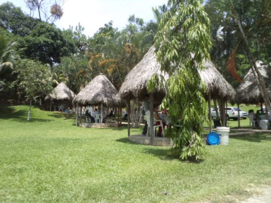 Colprosumah construirá hotel de 300 habitaciones en Tela