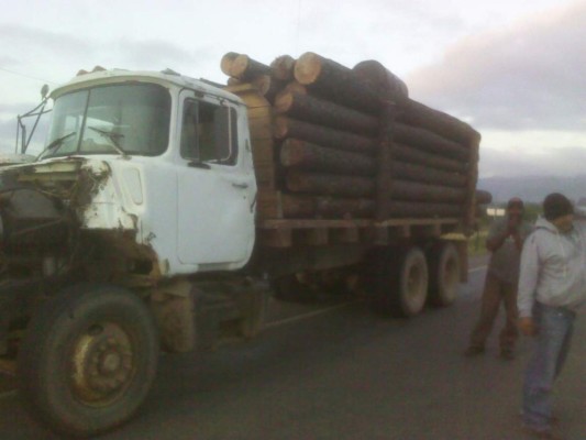 Caen comerciante y chofer que llevaban madera ilegal