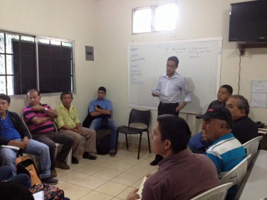 Anmphi impulsa los negocios colectivos