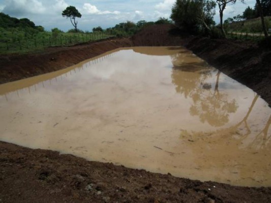 Con cosechas de agua apoyan a unos 3,000 productores