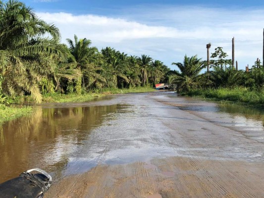 Bomberos intentan rescate de personas aisladas en Tocoa
