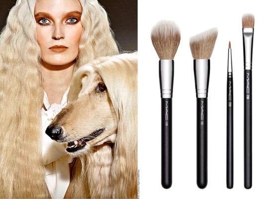 MAC lanza colección inspirada en perros
