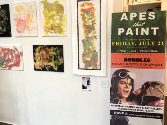 'Bubbles”, el simio con dotes artísticos