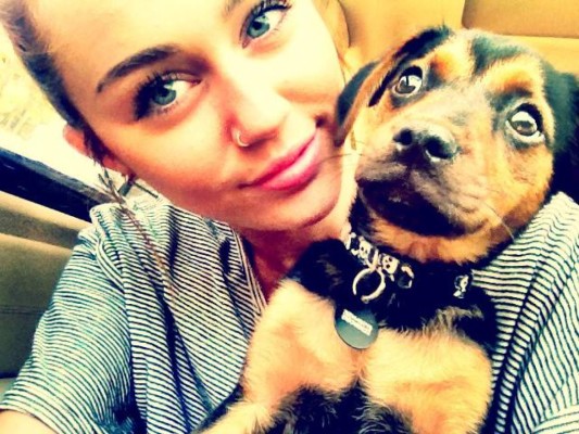 Miley Cyrus es la vegetariana más sexy