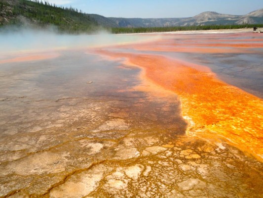 Yellowstone bisontes, osos y géiseres