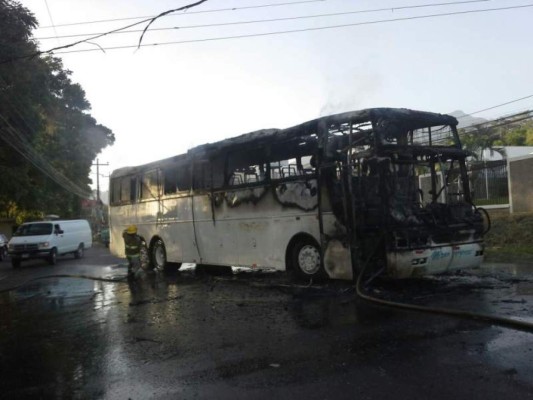 Atentan contra gerente de Transportes Mirna en La Ceiba