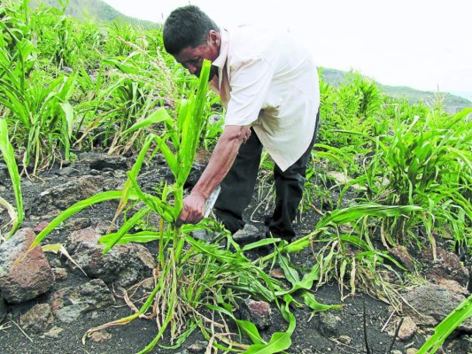 Sequía en Centroamérica afecta a dos millones de personas