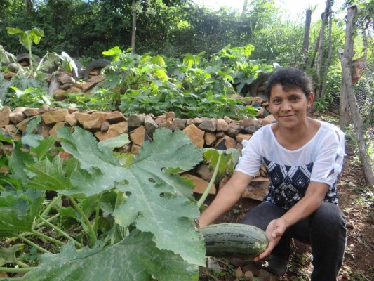 Preparan feria agrícola en la zona centro de Honduras