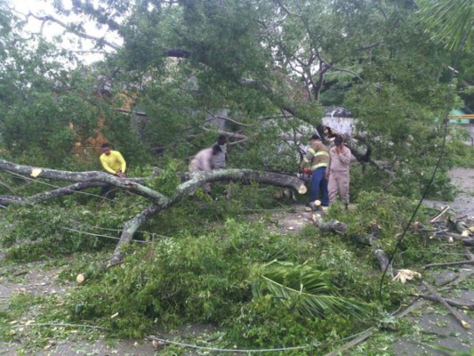 Vientos huracanados hacen estragos en Honduras