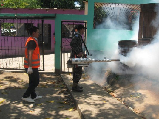 Presencia larvaria en sector de Cofradía baja en 29%